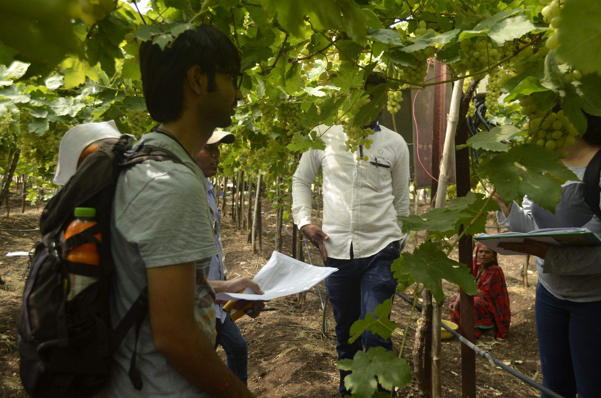 IIT Bombay team surveying farmers on the Old Dawachwadi feeder, Niphad block, Nashik